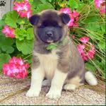 Suzanne Sugarbarker - @suzanne_sugarbarker - Instagram