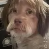 suzannesugarbaker - @suzannesugarbaker4 - TikTok