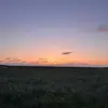 Suzy Suzuki - @.suzysuzuki - TikTok