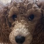 Suzanne Swords - @suzanneswords - Instagram