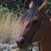 Susan Syvertson - @susansyvertson - TikTok