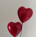 Suzanne Taffeiren - Facebook