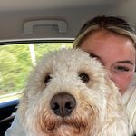 @suzanne.taggart - Instagram