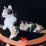 Suzanne Talley - @suzannetalley - Instagram