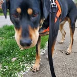 Suzanne Tanguay - @sltanguay1 - Instagram