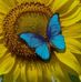 Suzanne Tanguay - Facebook
