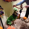 Suzanne Tanner - @suzanne.tanner - TikTok