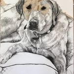 Suzanne Tanner Chitwood - @suzannetannerchitwood - Instagram