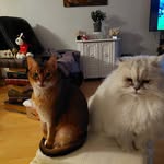 Suzanne Tapp Duguay - @patvero2806 - Instagram