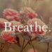 Suzanne Teal - Facebook