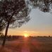 Susana Tedeschi - Facebook