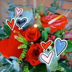Suzanne Daugeron - Facebook