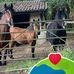 Suzzanne Thacker - Facebook
