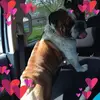 suzannetheisen252 - @suzannetheisen252 - TikTok