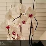 suzanne Theiss - @suzannetheiss - Instagram