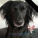 Suzanne Thierry Fauroux - Facebook