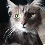 Thierry Suzanne Reymond - @thierry.suzanne.reymond - Instagram