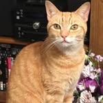 Suzanne Thistlethwaite - @suzannethistlethwaite - Instagram