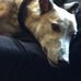 Suzanne Thrasher - Facebook