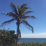 Suzanne Thrasher Heffernan - @sueheffernan5 - Instagram