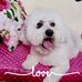 Suzanne Tibbs - Facebook