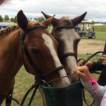 Suzanne Durie Tighe - @suzannedurie - Instagram