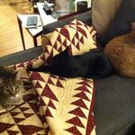 Suzanne Sheldon Tighe - @suzsnnetighe - Instagram