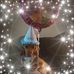 Suzanne Tilley - Facebook