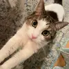 Suzanne - @suzytil14 - TikTok