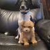 Suzanne Tipple Doyle Hodges - Facebook