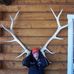 Suzanne Moody Tipton - Facebook