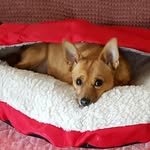 Suzanne Tipton Latham - @stlcmt - Instagram