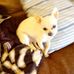 Suzie Tipton - Facebook