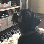 Suzanne Toler - @dudley_toler821 - Instagram