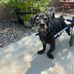 Suzanne Toler - Facebook