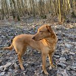Suzanne Tomlinson - @lolos.mini.adventures - Instagram