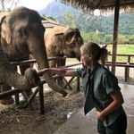 Suzanne Tooley - @suzanne.tooley - Instagram