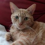 Suzanne Torres - @murph.andme - Instagram