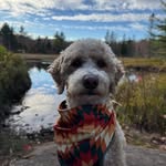 Suzanne Toupin - @toupinsd - Instagram