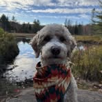 Suzanne Toupin - Facebook