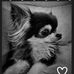 Suzanne Tracey - Facebook