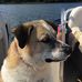 Suzanne Tyers - Facebook