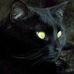 Suzanne Vaillancourt - Facebook