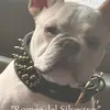 suzannevasquez7 - @suzannevasquez7 - TikTok