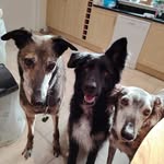 Suzanne Catharina Wallis - @wallis.suzanne - Instagram