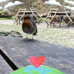 Suzanne Wallis - @suzanne.wallis.391 - Instagram