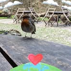Suzanne Wallis - Facebook