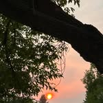 Suzanne Webster - @sweb62 - Instagram