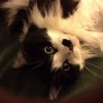 Suzanne Saufley Weller - @suzfltplyr - Instagram