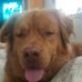 Suzanne Wendorf - Facebook